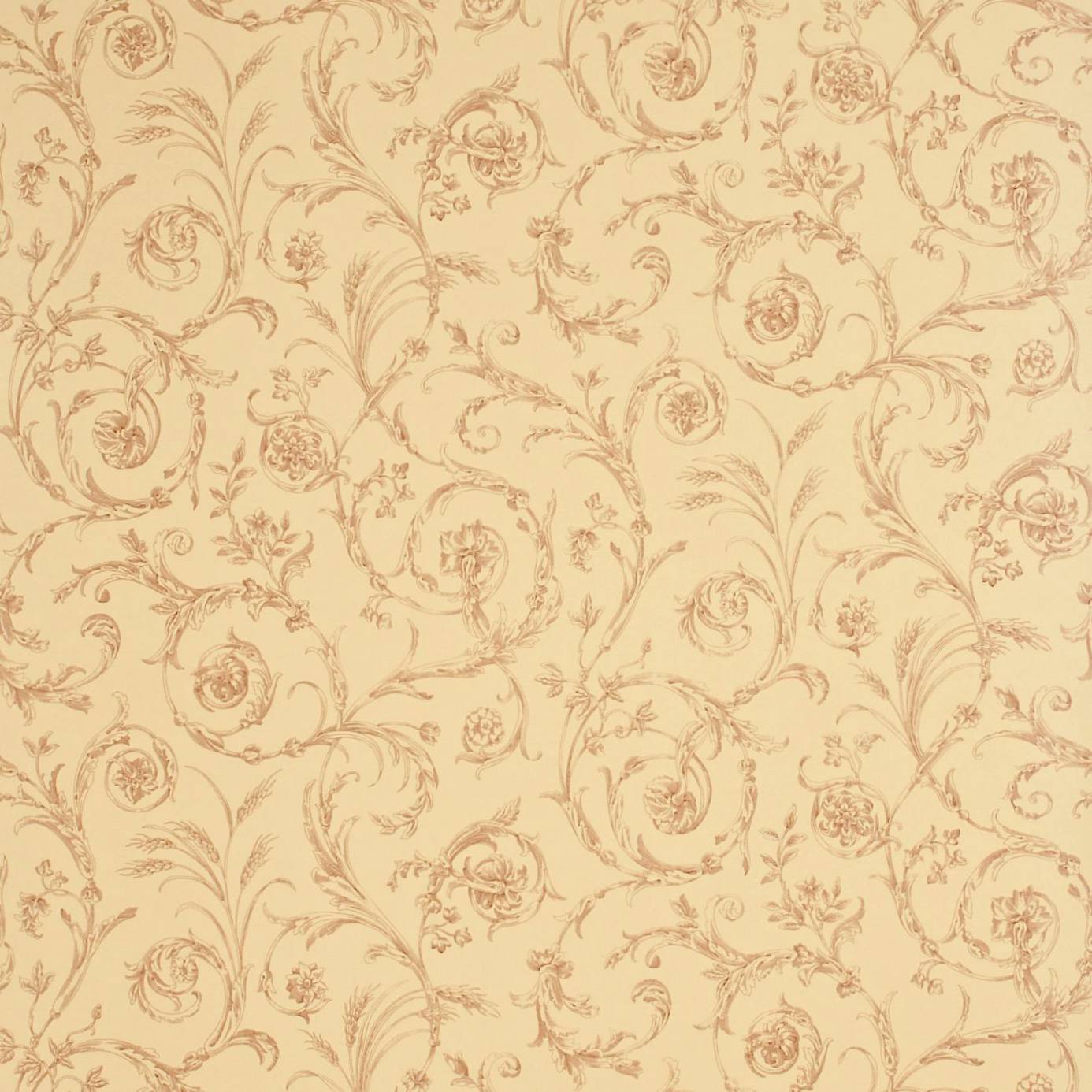 Scroll Co-ordinate Wallpaper - Beige Cinnamon (DEGTSC102) - Sanderson