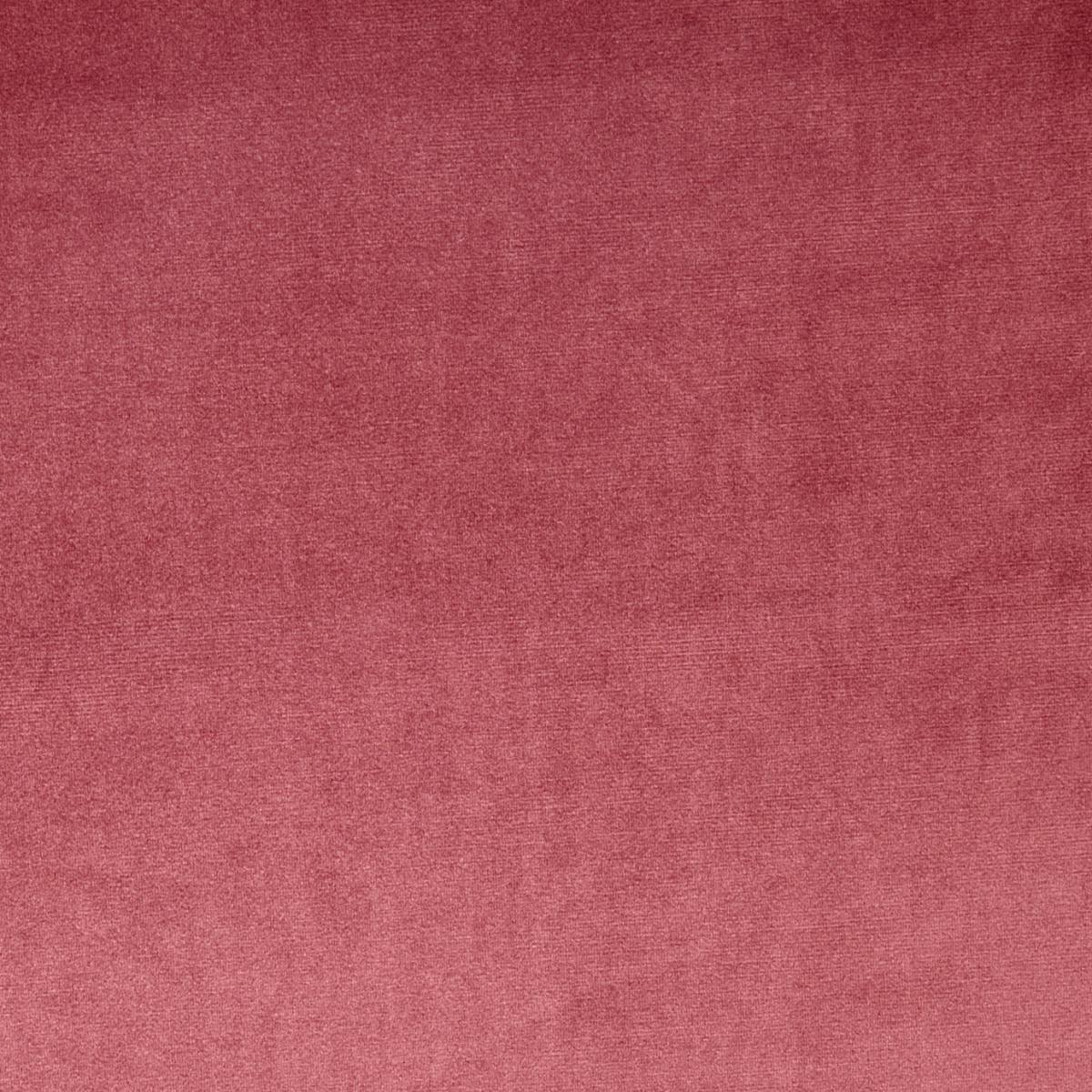 Velour Fabric - Rosebud (7150/210) - Prestigious Textiles Velour ...