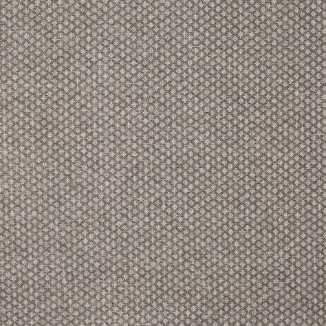 Prestigious Textiles Greenhouse Fabrics Hattie Fabric - Slate - 4107/906 - Image 1