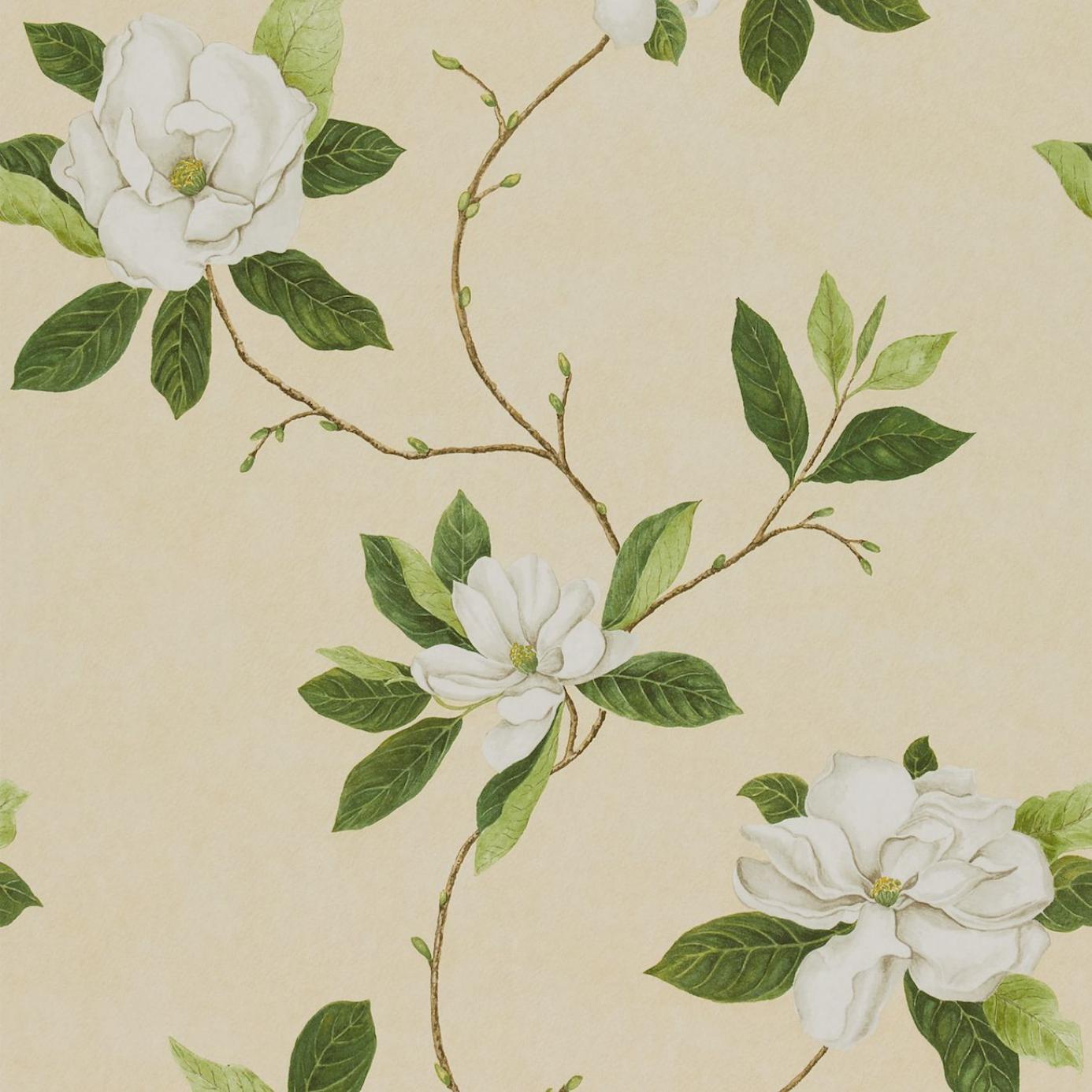 Sweet Bay Wallpaper - Ivory/Green (DPFWSW102) - Sanderson Parchment Flowers Wallpapers Collection