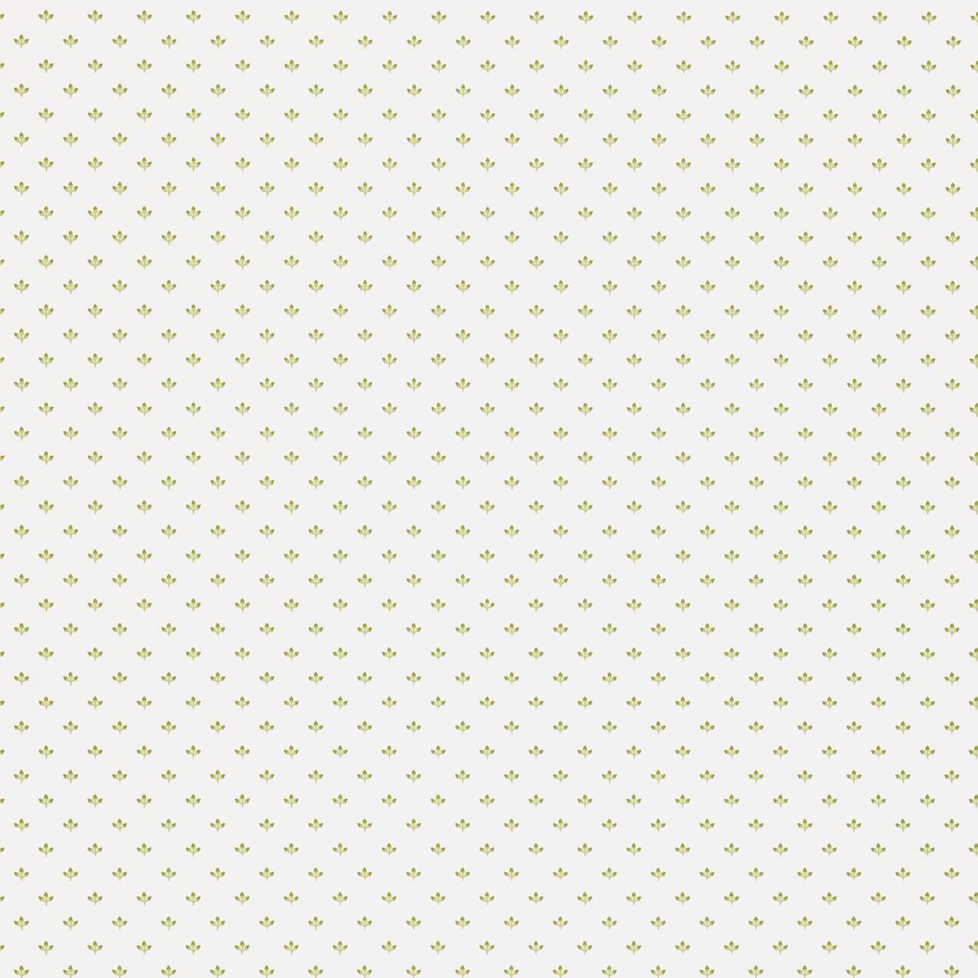 CREAM WALLPAPERS images and photo galleries - fameimages.com