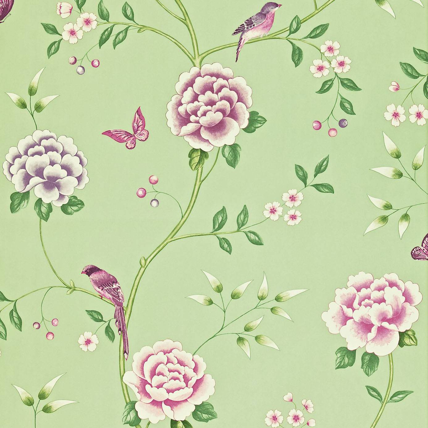 Pavilion Wallpaper - Georgian Green (212158) - Sanderson Richmond Hill Wallpapers Collection